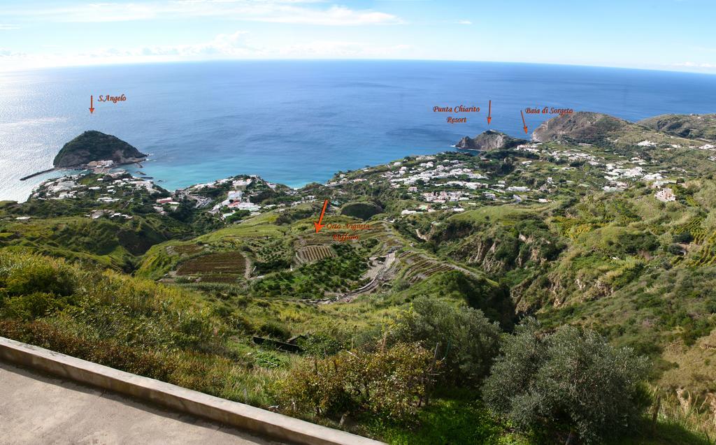 Hotel Punta Chiarito 4*