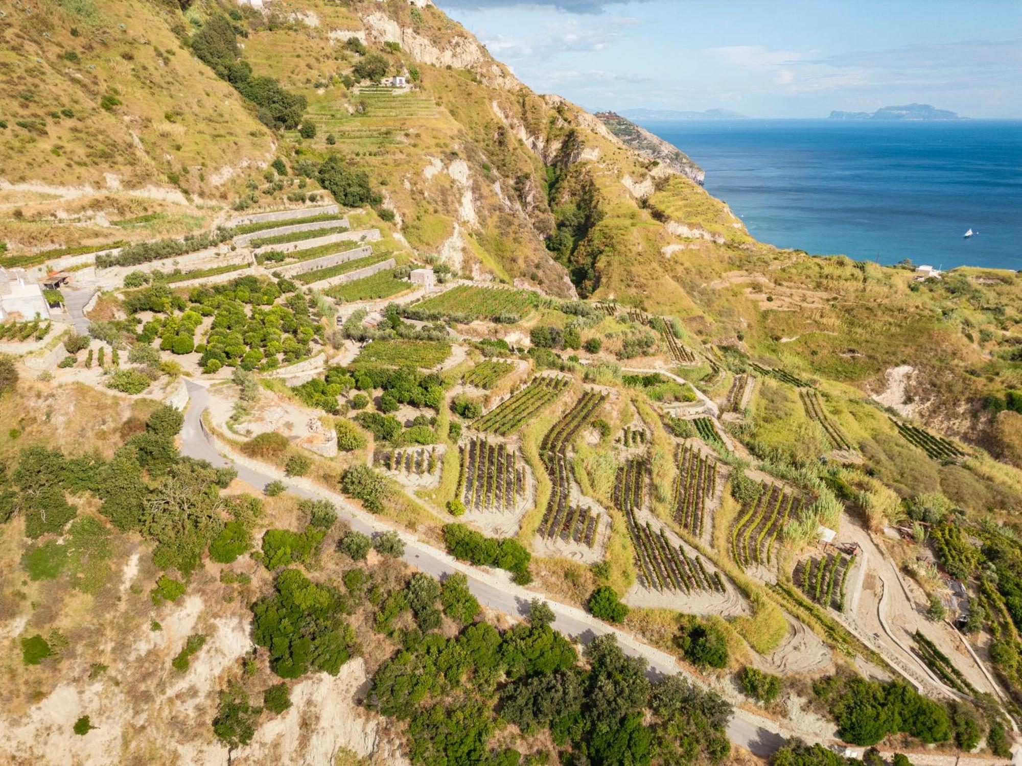 Punta Chiarito 4* Forio di Ischia